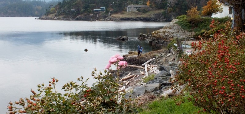 Orcas Island, San Juans,&nbsp;Washington