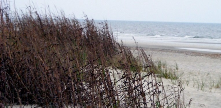 Hilton Head Beach, SC ~&nbsp;Photos