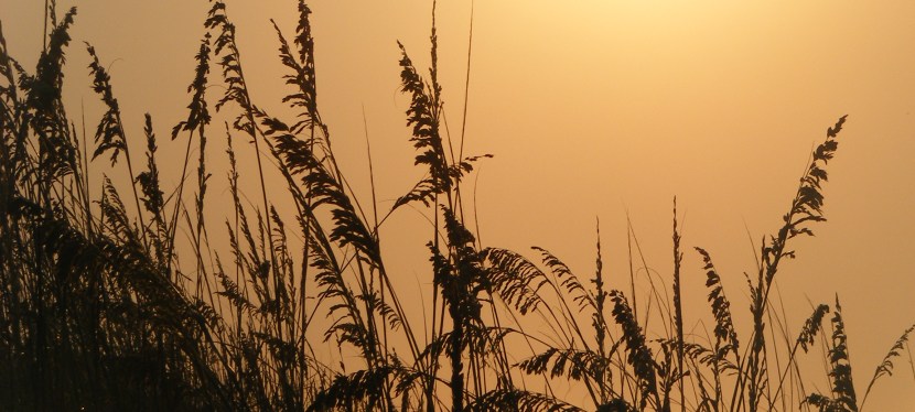 Favorite Charleston SC Barrier&nbsp;Islands