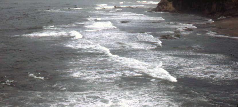 The Sea ~&nbsp;Photos