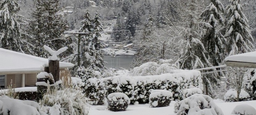 Photos ~ Winter Wonderland, Gig&nbsp;Harbor