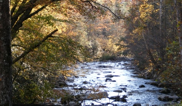 Travel ~ Favorite Quotes &&nbsp;Photos