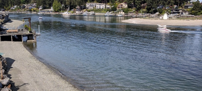 Photos ~ Early Spring ~ Gig Harbor,&nbsp;WA