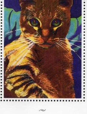 Cat Photos ~ Celebrate National Cat&nbsp;Day