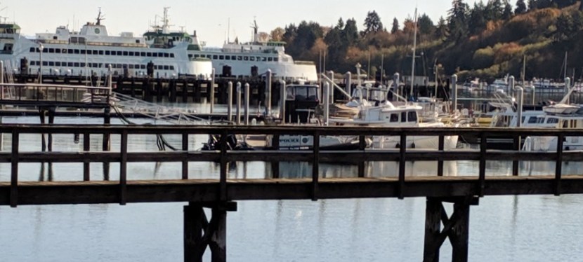 Beautiful Fall Day, Bainbridge Island, WA ~&nbsp;Photos