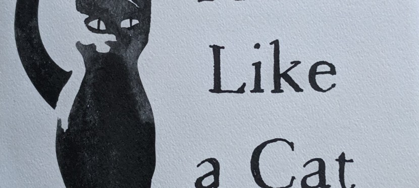 Book Review ~ “How to Think Like a Cat” by Stephane Garnier — Katzenworld