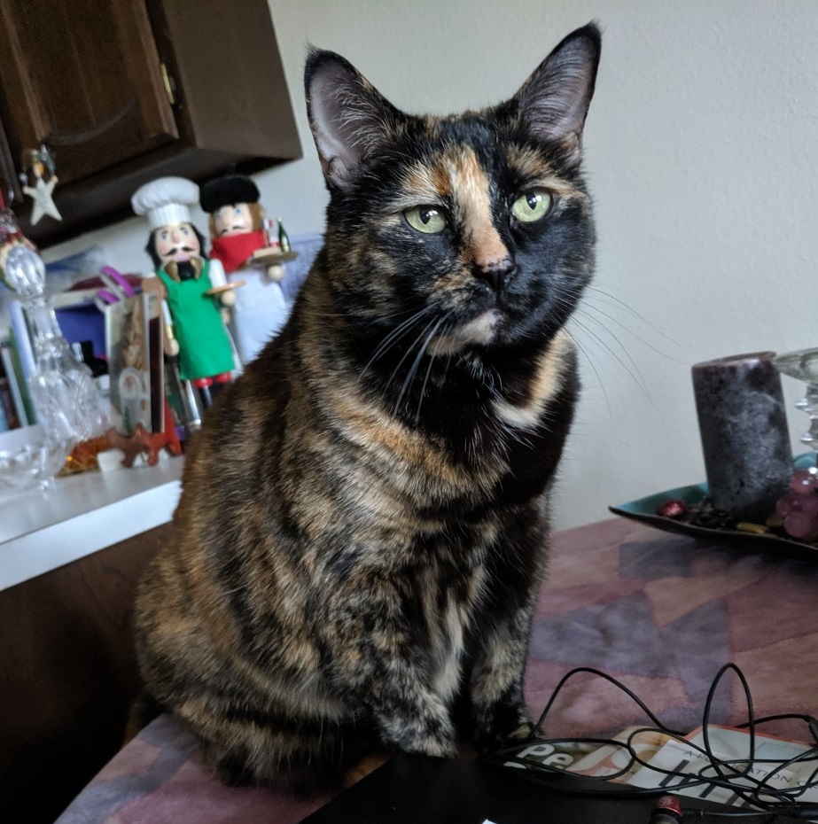 Time to start another puzzle