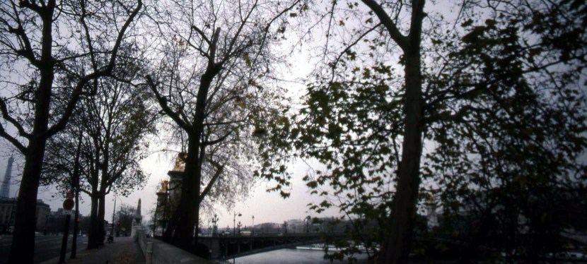 Quotes ~ France ~ Photos