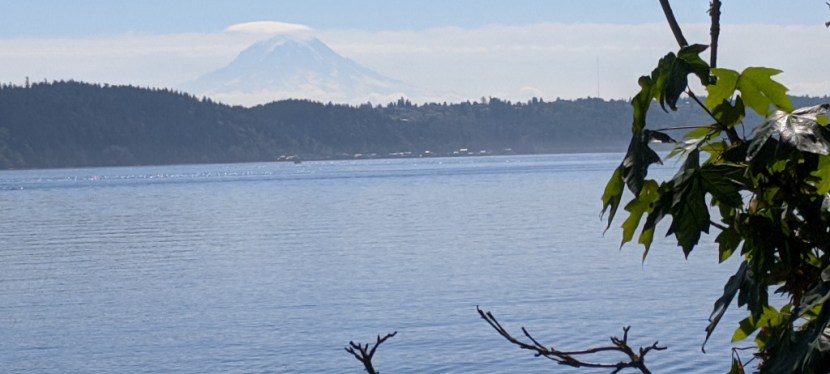 Photos ~ Gig Harbor, Washington ~ August&nbsp;2020