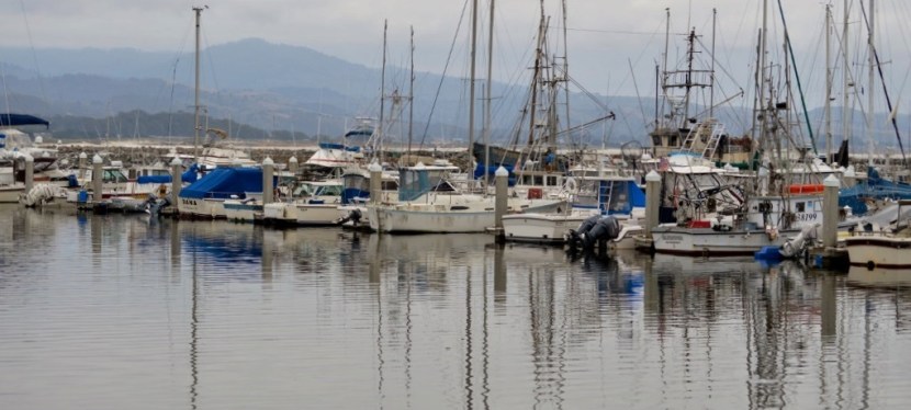 More Favorite Quotes ~ Journeys ~ Photos ~ Dec&nbsp;2020