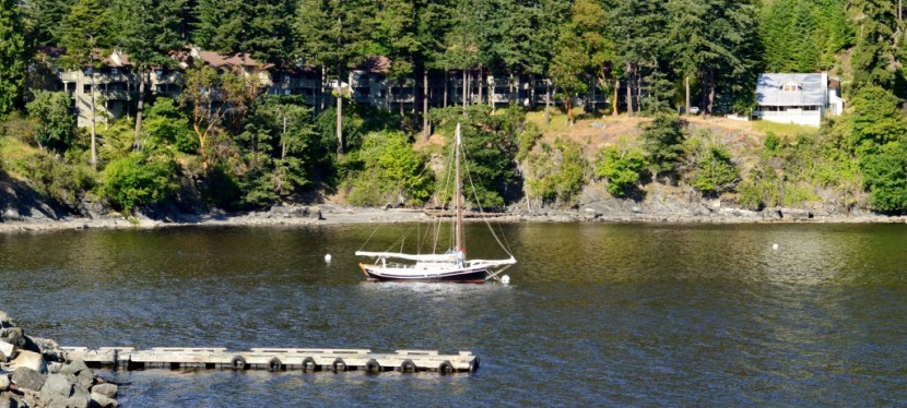 Quotes to Ponder ~ Photos (San Juan Islands, 2019) ~ Jan&nbsp;2021