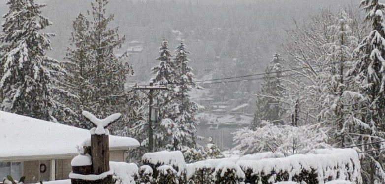 Quotes ~ Photos ~ Snow ~ Gig Harbor, WA ~ Feb&nbsp;2021