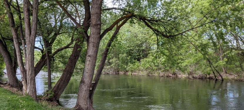 Road Trip ~ Western Washington to Boise ~&nbsp;Photos