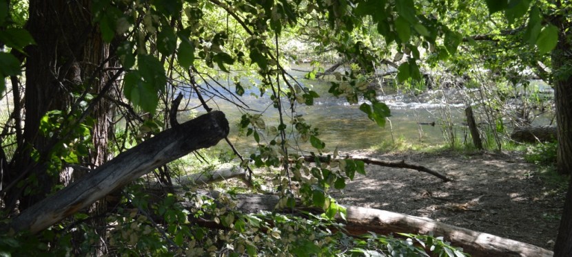 A Walk Along Boise River Greenbelt ~ Boise, ID ~ Photos ~&nbsp;Quotes