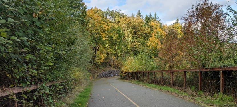 Fall Meandering ~ Cushman Trail ~ Gig Harbor, WA ~&nbsp;Quotes