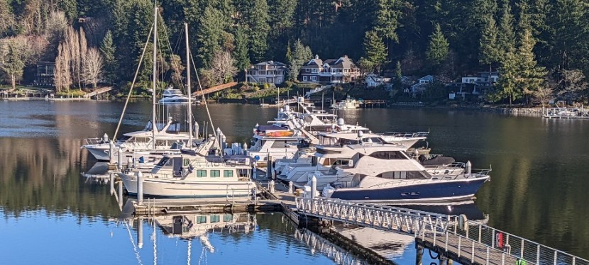 Beautiful, Sunny Day ~ Gig Harbor, WA ~ Jan 2022 ~&nbsp;Photos