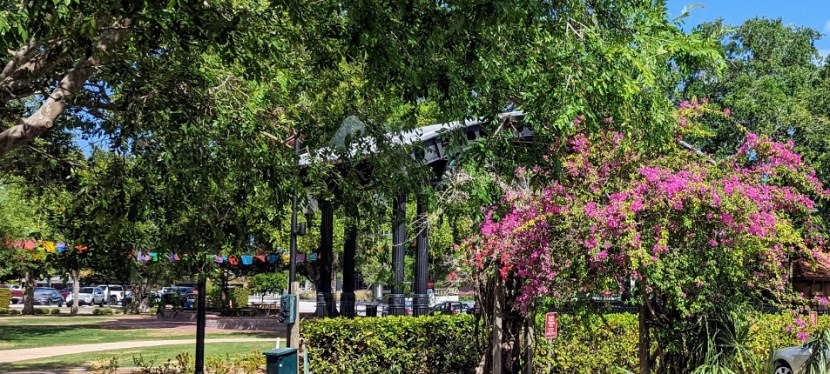 Journey to Dunedin & Clearwater, Florida ~ May 2022 ~&nbsp;Photos