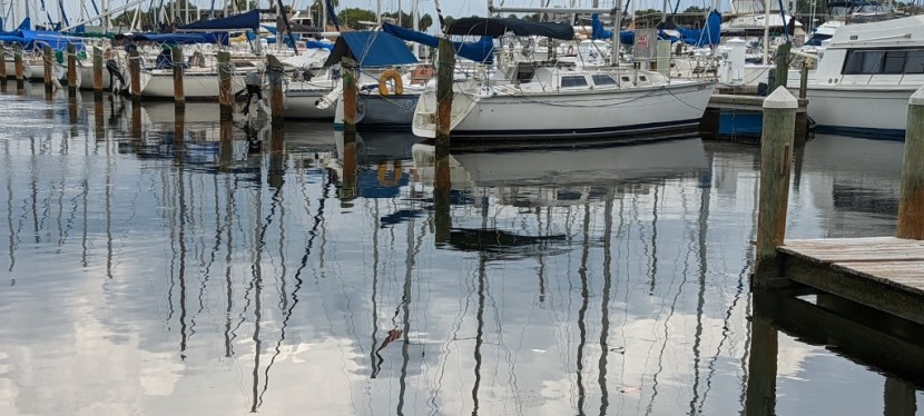 St Petersburg. Florida ~ Dali Museum ~ June 2022 ~&nbsp;Photos