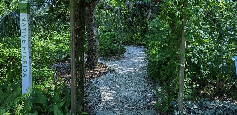 Marie Selby Botanical Gardens, Sarasota, Florida ~ Photos ~ June&nbsp;2022