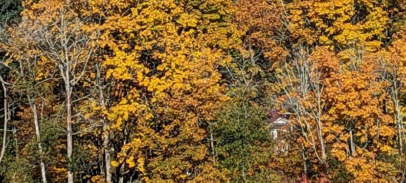 November Hues ~ Gig Harbor area, WA ~ Quotes ~&nbsp;Photos