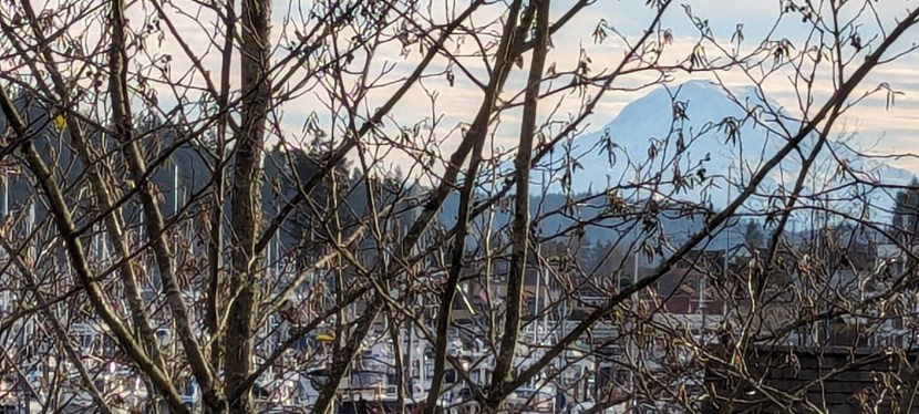 Beautiful December Day ~ Gig Harbor, WA ~ Photos ~&nbsp;Quotes