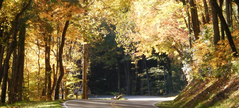 Savor the Moment ~ Quotes ~ Photos